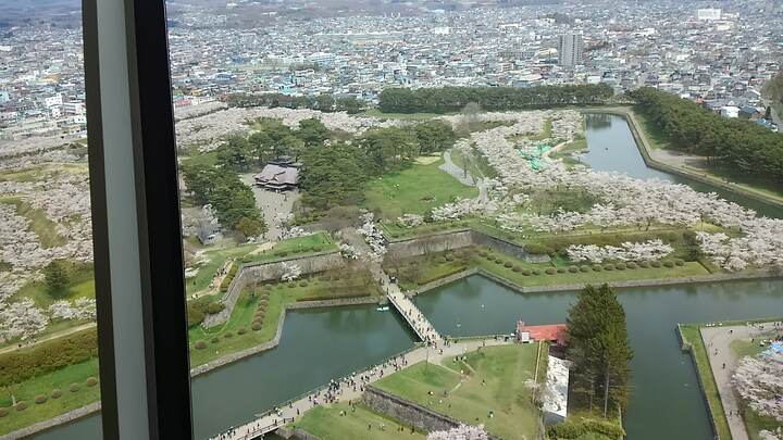 展望塔から見下ろした春の五稜郭と函館の市街地